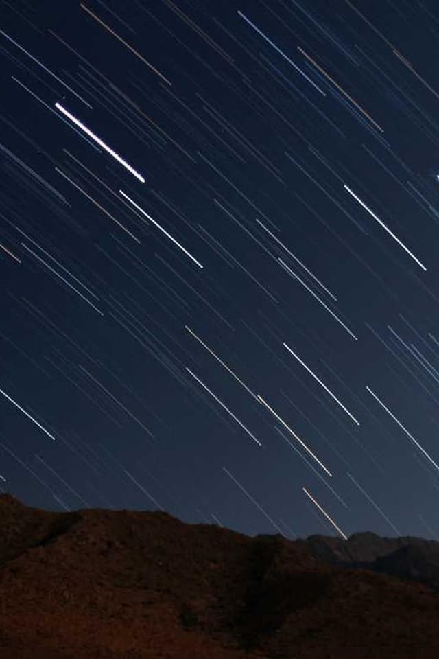 [DE] Curver Hundefutterbehälter 10kg (MediumAquaMarine nostrum #749)