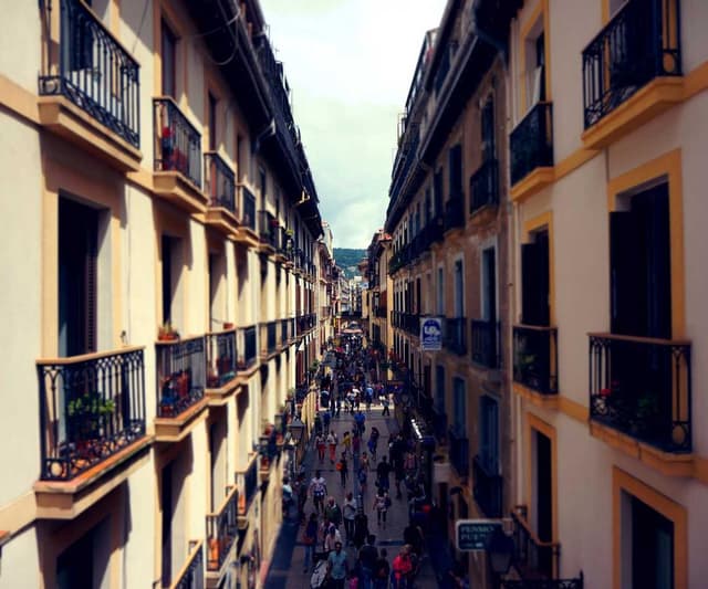 [DE] Freezack Single Dinner Napf für Hunde (Darkorange eos #274)