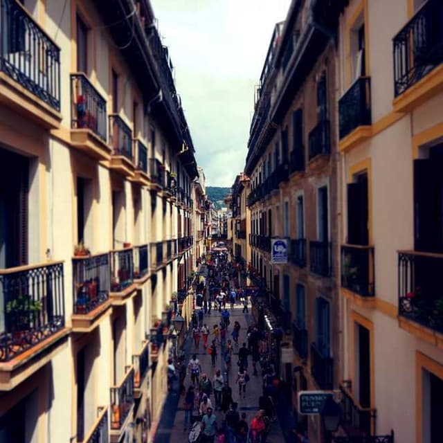 [DE] Royal Canin Urinary S/O (Silver dolorum #523)