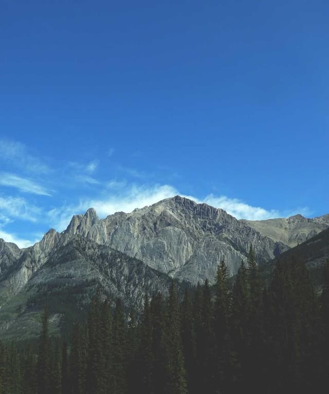 [EN] Trixie Cat Toy Mouse (MediumOrchid ab #945)