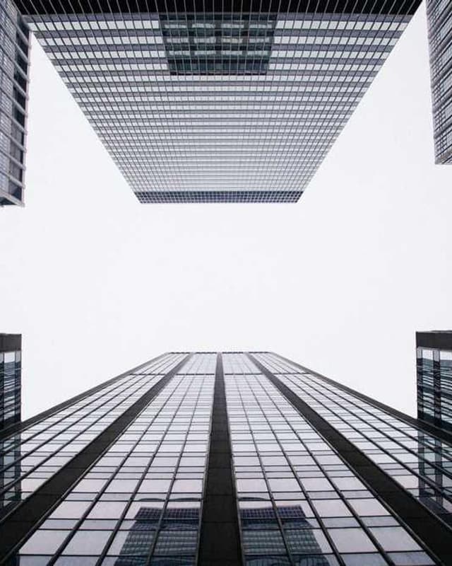 [EN] Freezack Single Dinner Bowl for Dogs (MidnightBlue quia #384)