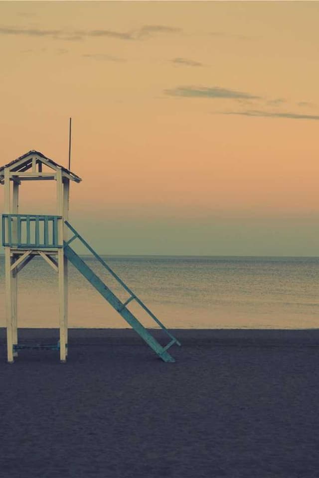 [EN] Flexi Leash New Classic S (CornflowerBlue reiciendis #012)