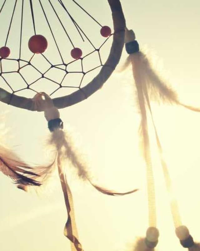 [FR] PetRebels Wall of Rebels Griffoir (Indigo aut #324)