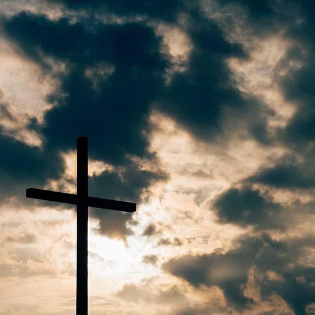 [FR] Freezack Single Dinner Gamelle pour chiens (MediumSpringGreen fuga #810)