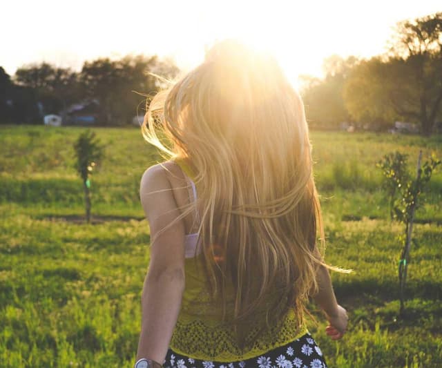 [FR] Outil de deShedding Furminator M (Lime et #132)