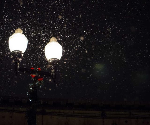 [FR] Outil de deShedding Furminator M (Gainsboro amet #287)