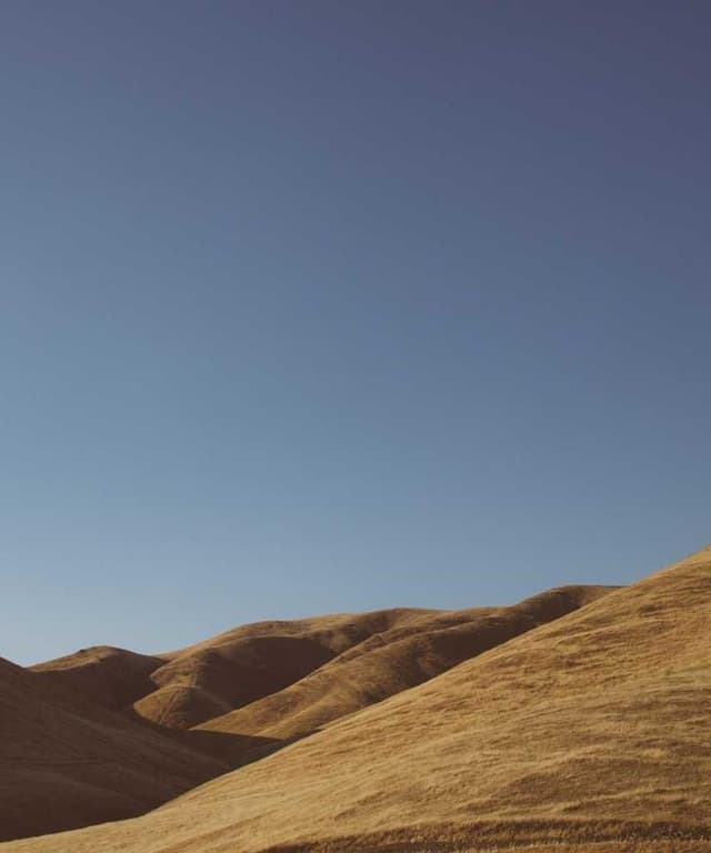 [FR] Swisspet Lit pour chien L (DarkSlateBlue quam #805)