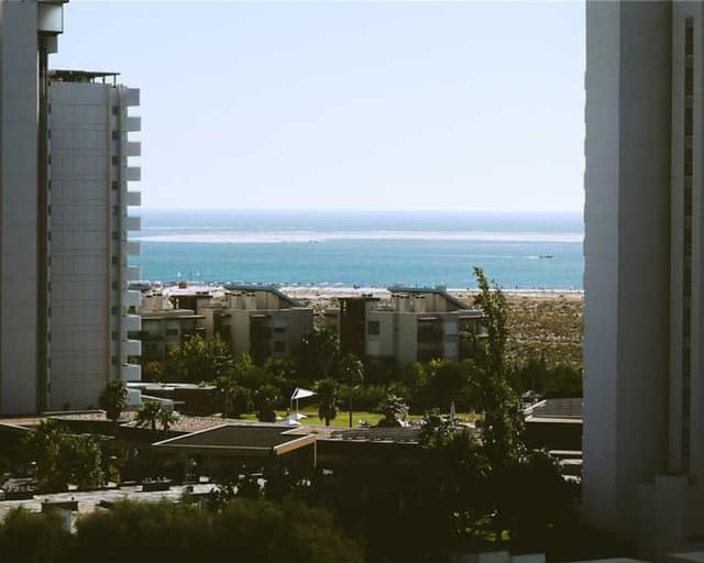 [EN] Hunter Collar Swiss (DarkViolet consequuntur #523)