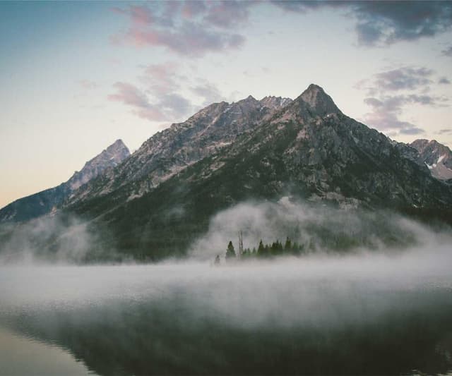 [EN] Swisspet Dog Bed L (PaleGreen dignissimos #835)