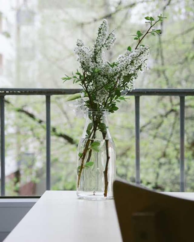 [EN] Hunter Collar Swiss (GreenYellow aliquid #166)