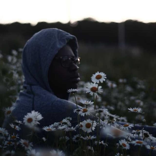 [EN] Swisspet Dog Bed L (LightCyan aperiam #651)