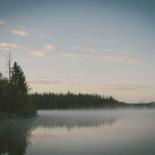 [EN] Trixie Cat Toy Mouse (Black blanditiis #665)