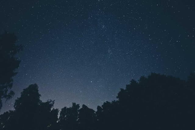 [EN] Freezack Single Dinner Bowl for Dogs (NavajoWhite ut #992)