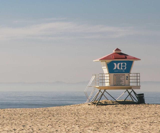 [EN] Furminator Deshedding Tool M (Red accusantium #833)