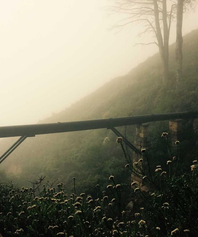 [EN] Furminator Deshedding Tool M (Black vel #801)