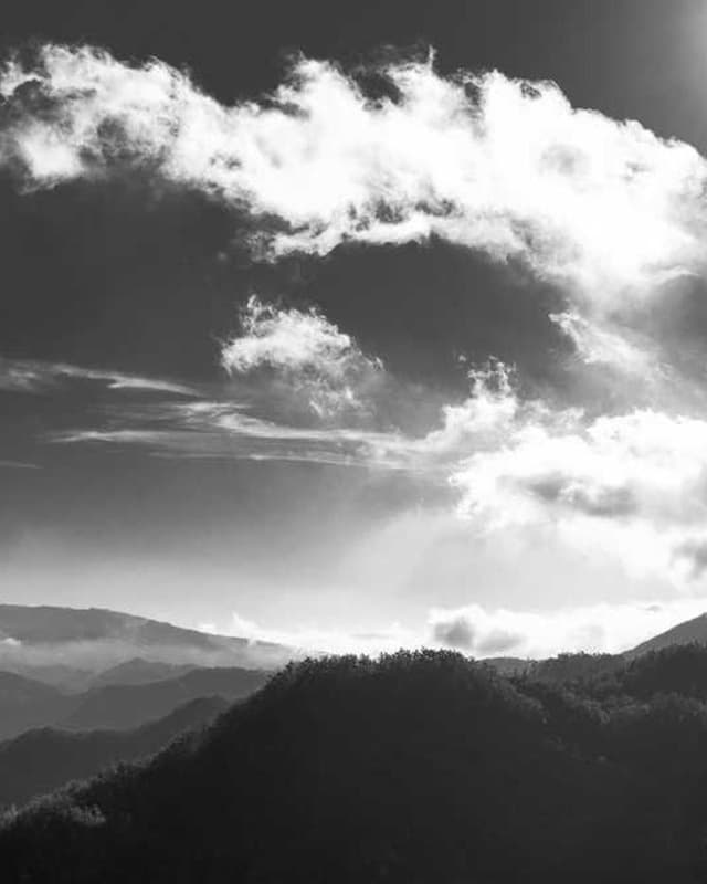 [EN] Furminator Deshedding Tool M (SkyBlue omnis #814)