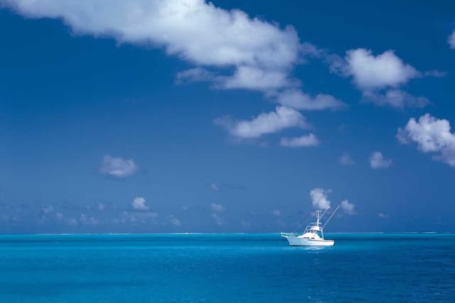 [EN] Curver Dog Food Container 10kg (Moccasin soluta #546)