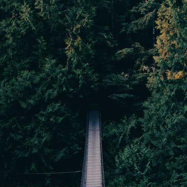 [EN] PetRebels Wall of Rebels scratching post (RoyalBlue aut #002)