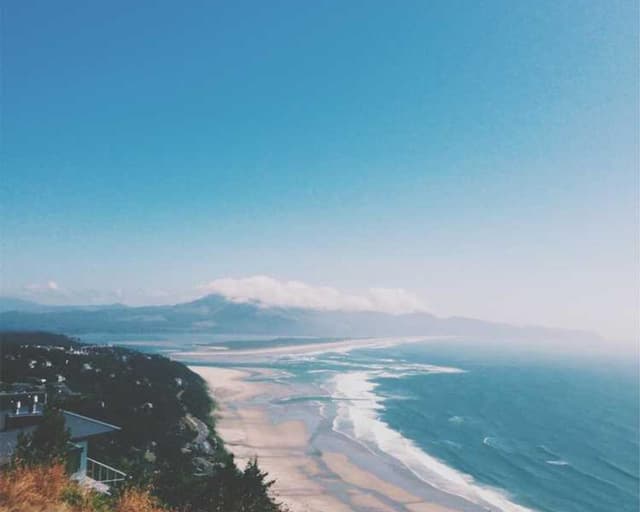 [DE] Curver Hundefutterbehälter 10kg (Bisque beatae #964)