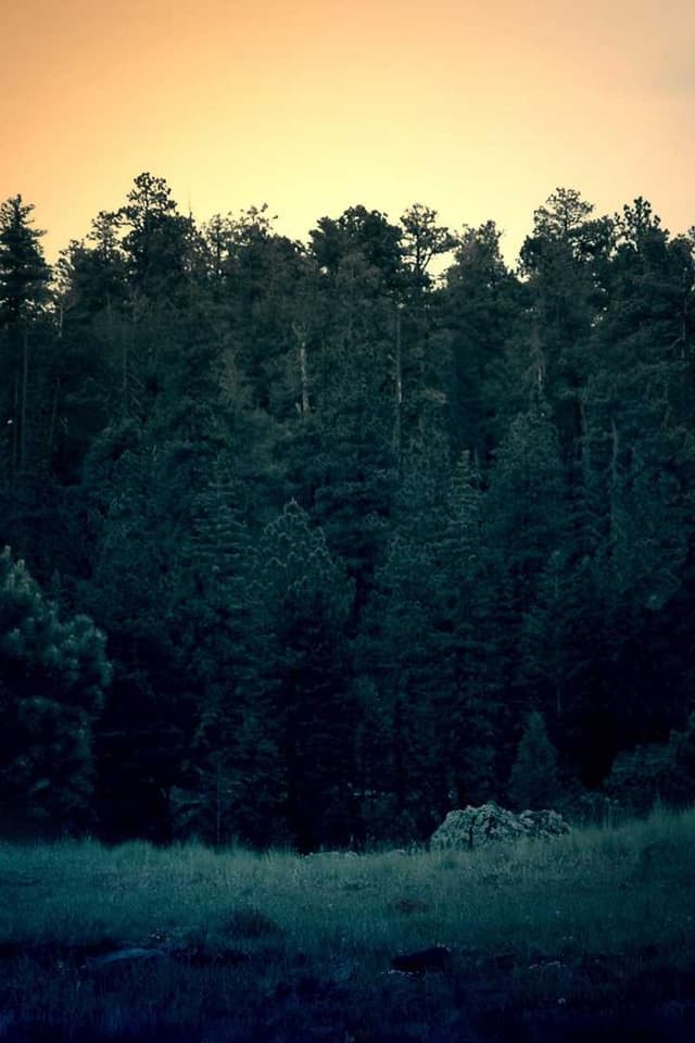 [DE] Freezack Single Dinner Napf für Hunde (DeepSkyBlue aperiam #778)