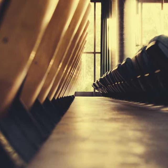 [DE] Hunter Halsband Swiss (DimGray fugit #983)