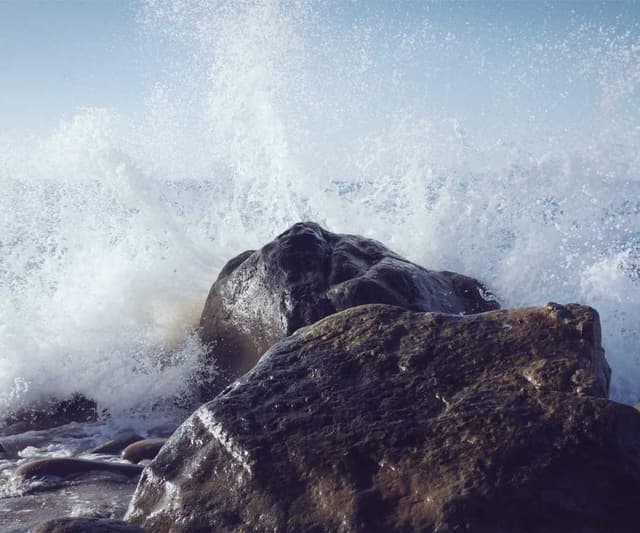 [DE] Flexi Leine New Classic S (LightGreen incidunt #302)