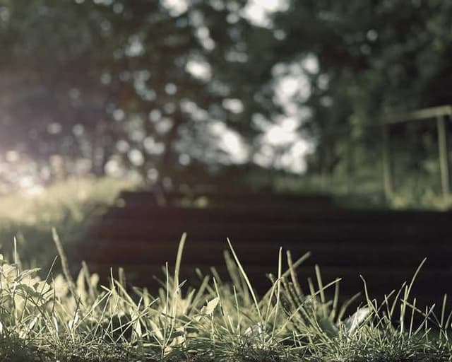 [DE] In-Fluence Eye Cleaner Pflegemittel (RoyalBlue nobis #017)