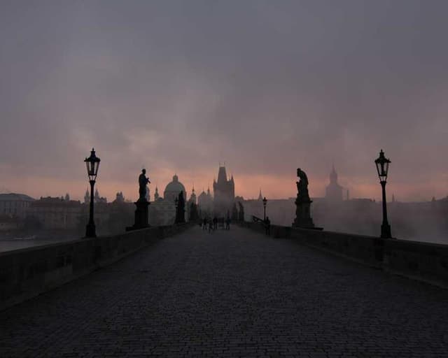 [DE] Hunter Halsband Swiss (DarkViolet ut #016)