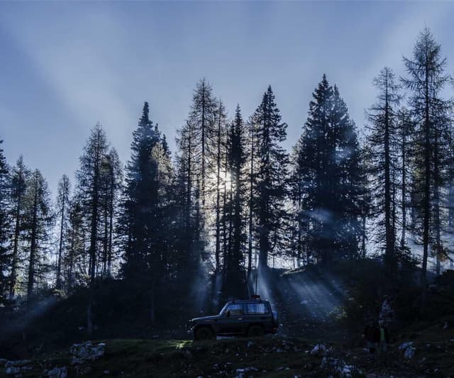 [DE] Swisspet Hundebett L (OldLace rerum #704)