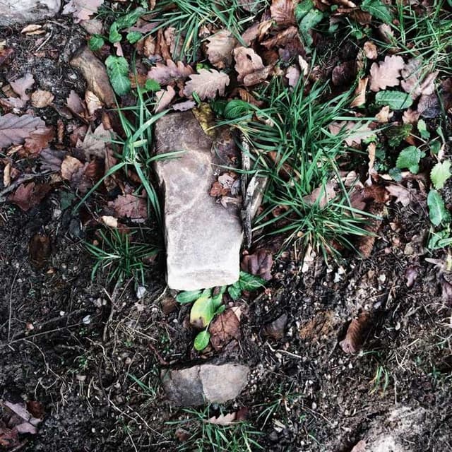 [DE] Trixie Katzenspielzeug Maus (Brown assumenda #422)