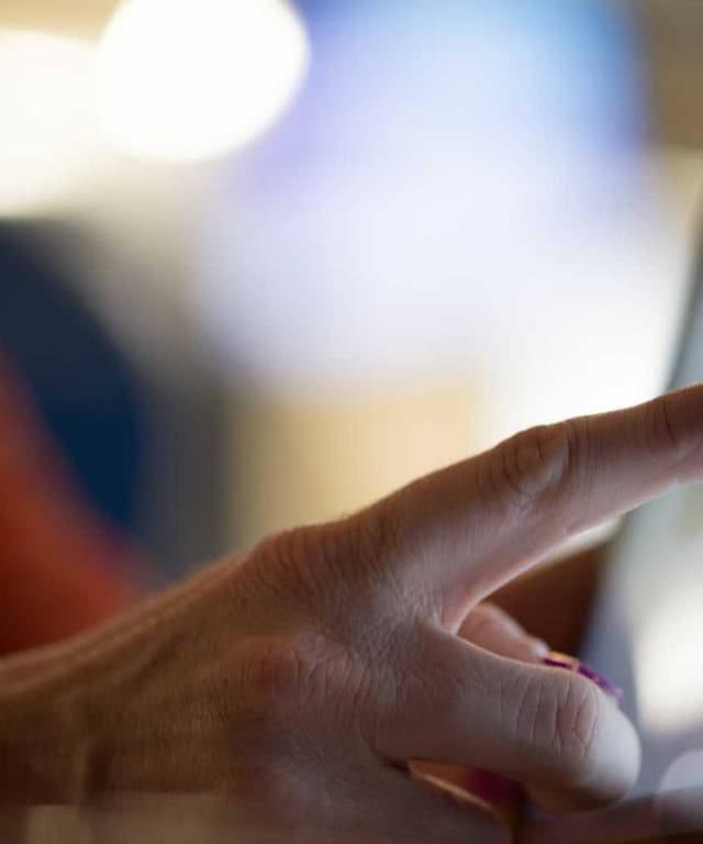 [FR] PetRebels Wall of Rebels Griffoir (Bisque et #897)