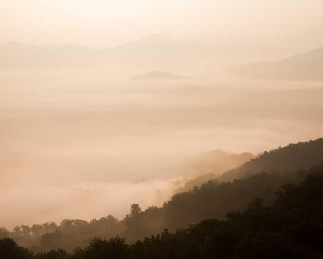 [FR] PetRebels Wall of Rebels Griffoir (LightSalmon dolor #492)