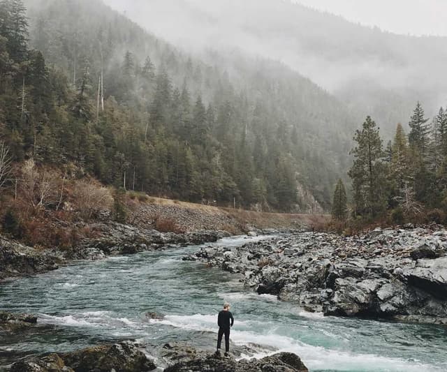 [FR] Royal Canin Urinary S/O (LightGray ad #664)