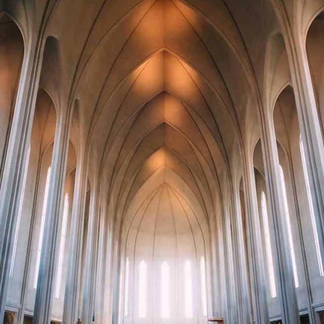 [FR] Swisspet Lit pour chien L (PapayaWhip ea #494)