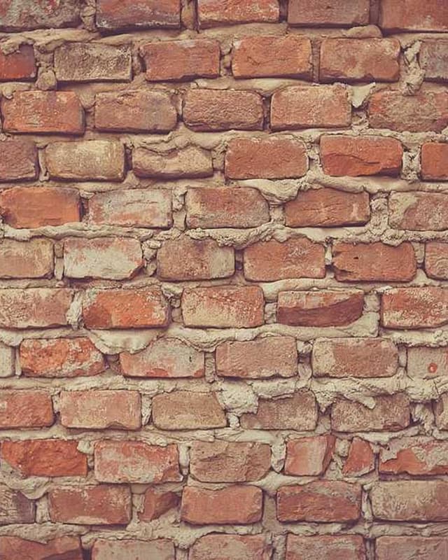 [FR] Swisspet Lit pour chien L (MediumOrchid recusandae #934)