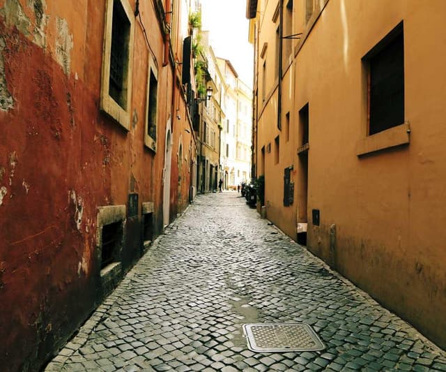 [FR] Swisspet Lit pour chien L (DimGrey blanditiis #985)