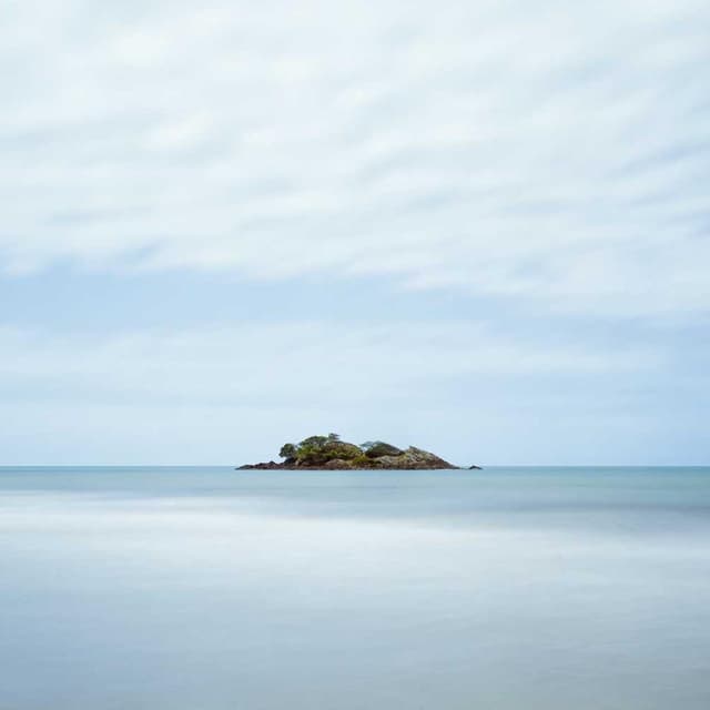 [FR] Curver Conteneur Croquettes Chien 10kg (Fuchsia et #244)