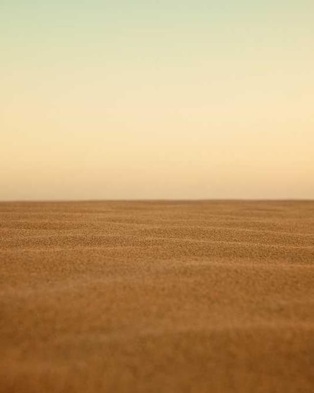 Curver Conteneur Croquettes Chien 10kg