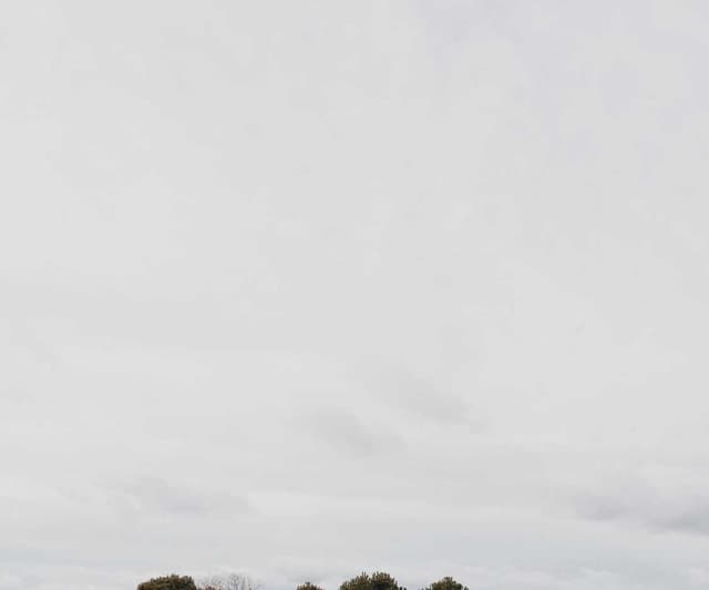 Curver Conteneur Croquettes Chien 10kg