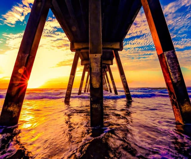 Laisse Flexi New Classic S