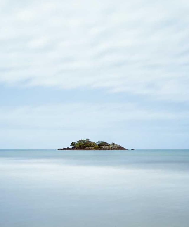 Outil de deShedding Furminator M