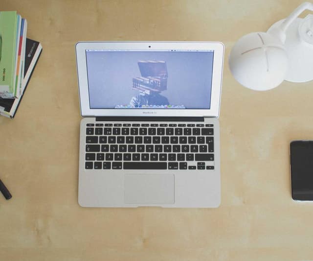 Laisse Flexi New Classic S