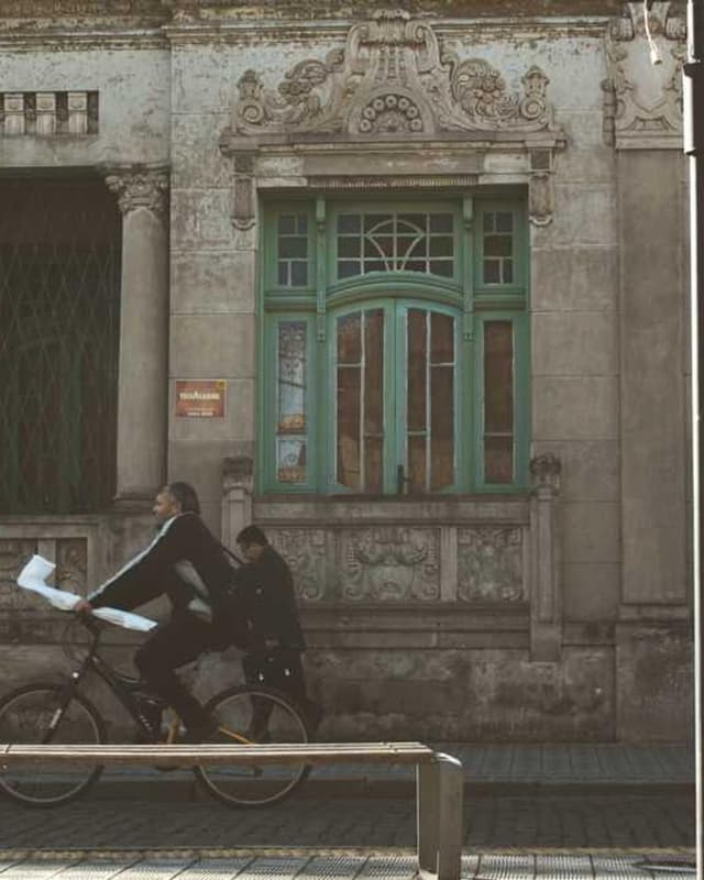 Outil de deShedding Furminator M