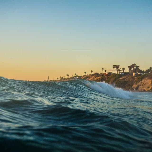 Swisspet Lit pour chien L