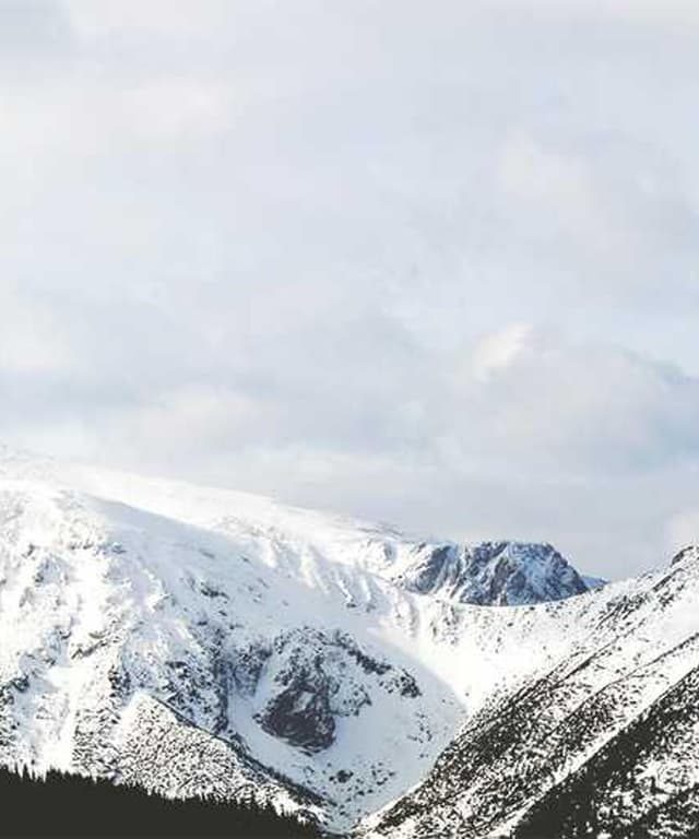 Swisspet Lit pour chien L