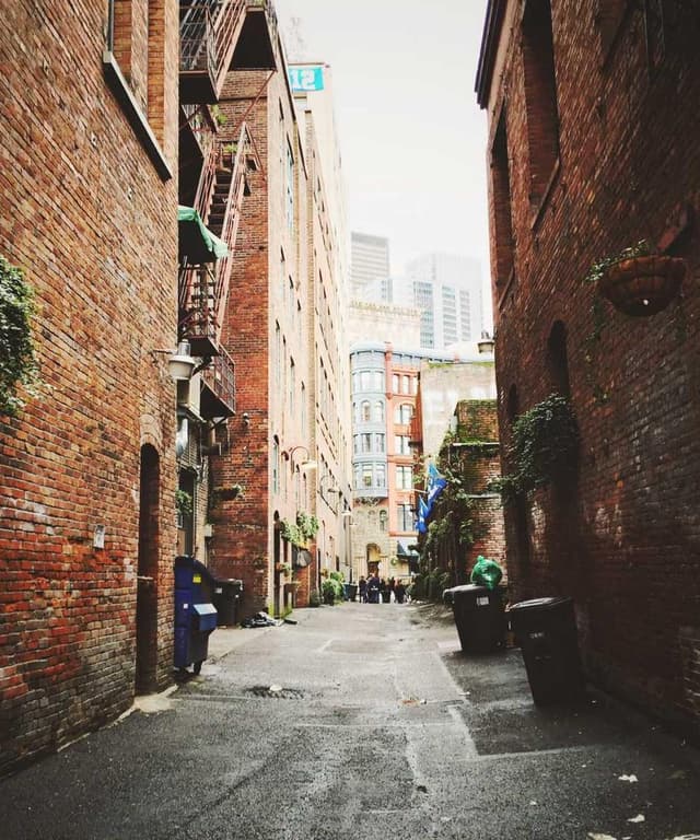 [DE] Swisspet Hundebett L (Thistle veritatis #505)