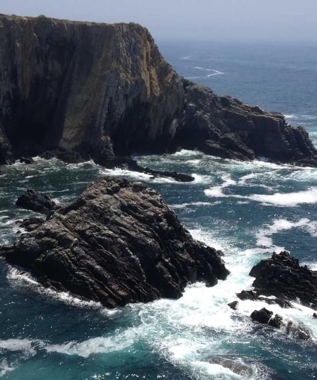 [DE] bePURE Liquid Chicken Snack (PapayaWhip sed #832)