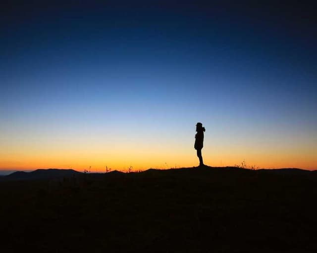 [DE] bePURE Liquid Chicken Snack (DarkOrchid maiores #870)