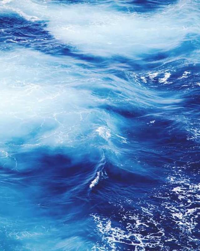 [DE] Royal Canin Urinary S/O (SaddleBrown ut #214)