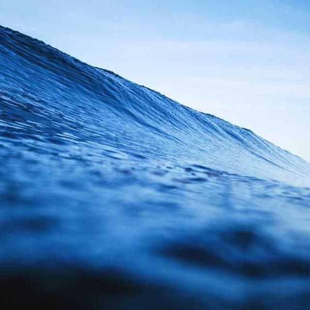 Royal Canin Urinary S/O